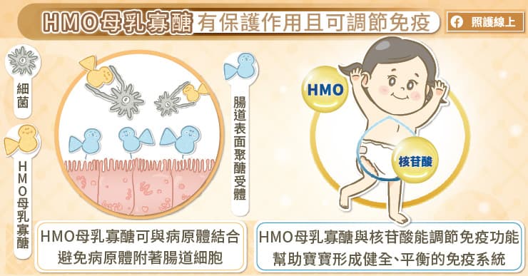 免疫力這樣養！寶寶營養新知：HMO母乳寡醣與核苷酸 醫師圖解｜照護線上