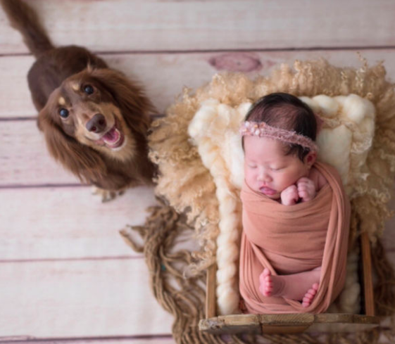 台南新生兒嬰兒寫真❤️寶寶的第一份禮物🎁黑羊方嬰兒寫真｜