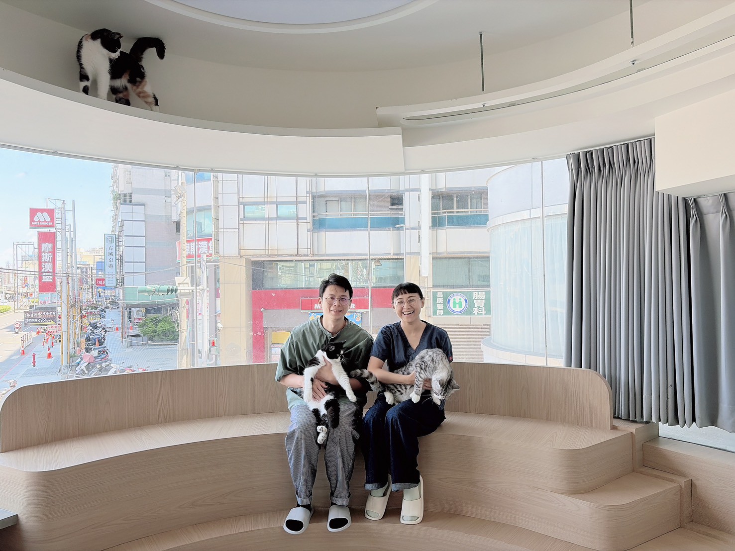 台南貓旅推薦｜四序貓旅：出國前，貓咪要住哪裡最讓人放心？